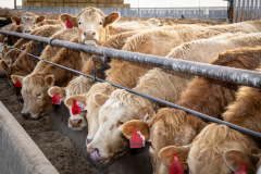 Clean-Farms-Slomp_0128-2_High-Res