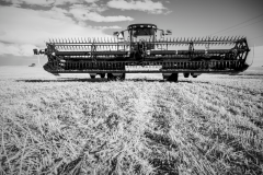 cleanfarms0480-2_BW_High-Res