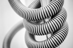 Miele-2023_2036_BW